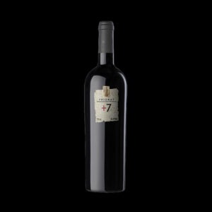 Pinord Mas Blanc +7 Priorat bij Wijnhandel ARTIVIN Kwaliteitswijnen Holsbeek