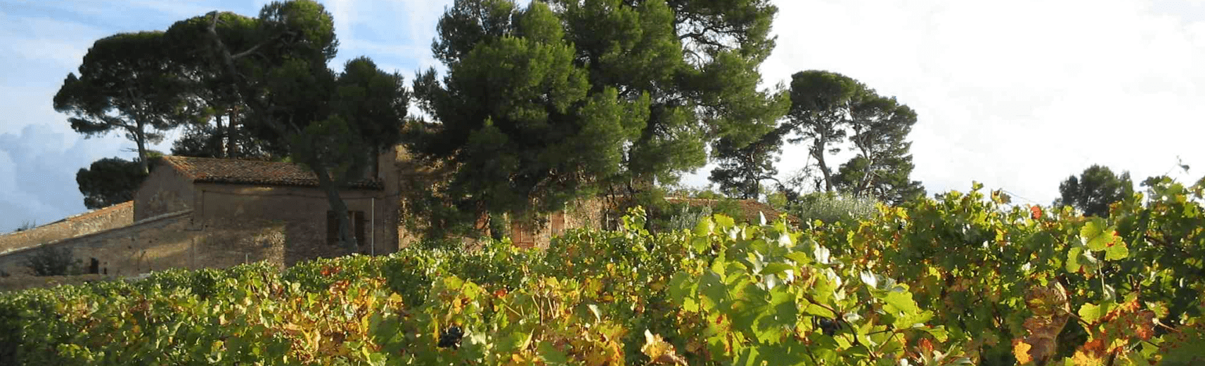 Domaine de Mont d'Hortes bij Wijnhandel ARTIVIN Kwaliteitswijnen Holsbeek