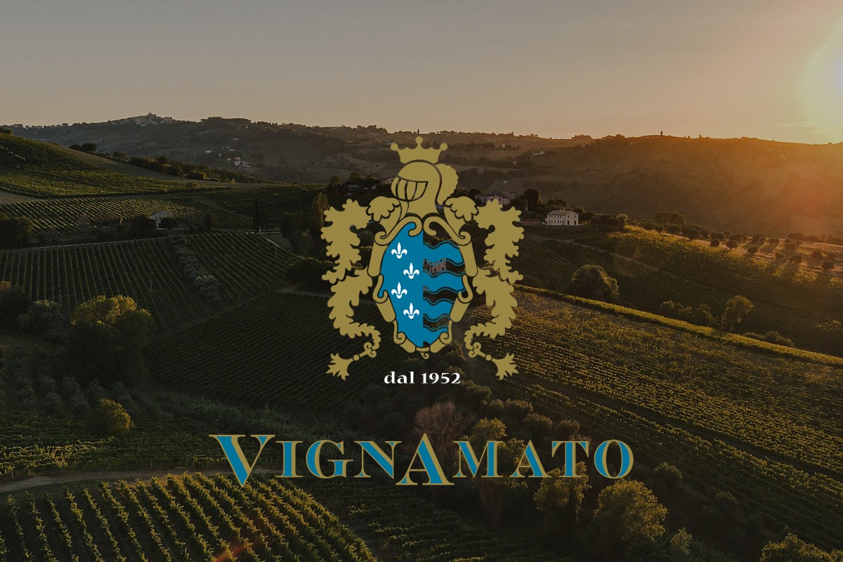 Vignamato San Paolo Jesi bij Wijnhandel ARTIVIN Kwaliteitswijnen Holsbeek