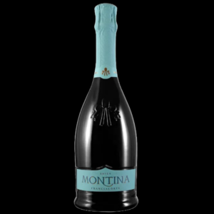 La Montina Franciacorta Saten DOCG bij Wijnhandel ARTIVIN Kwaliteitswijnen