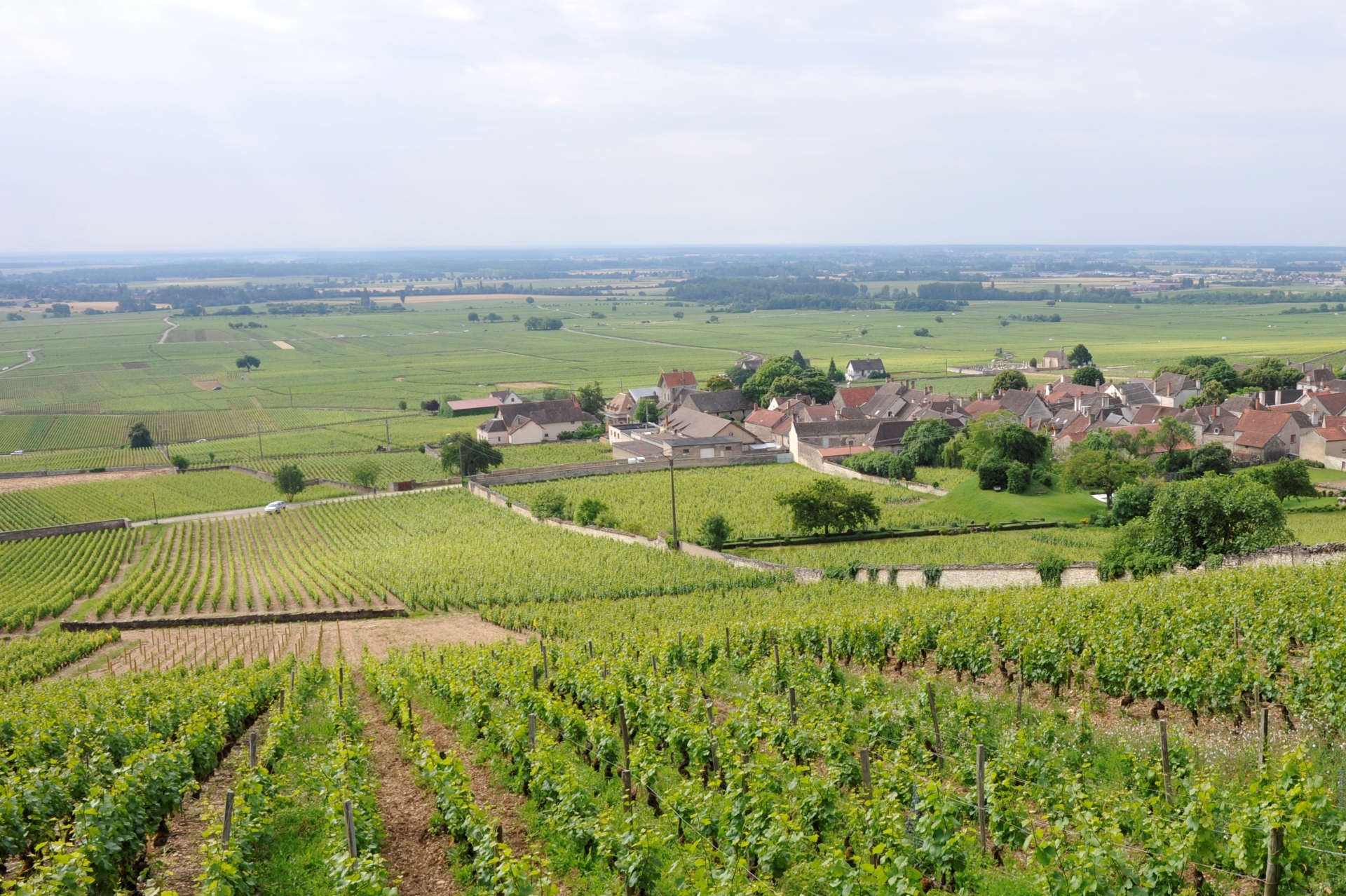 Domaine Bitouzet-Prieur bij Wijnhandel ARTIVIN Kwaliteitswijnen Holsbeek
